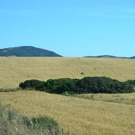 Villa In Alghero With Pool & Near Town Villa *