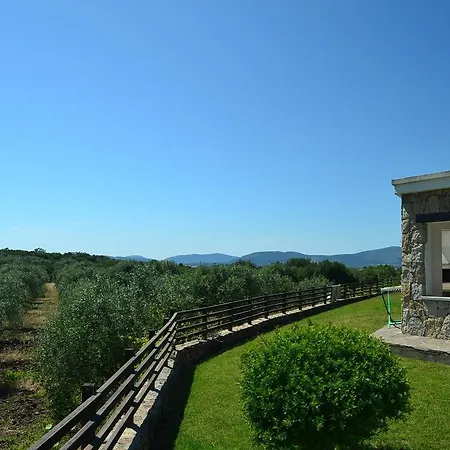 Villa Villa In Alghero With Pool & Near Town